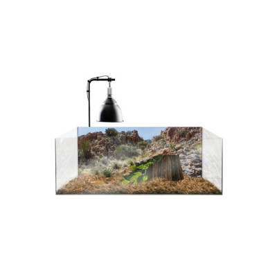 achat terrarium tortue terrestre, lampe chauffante terrarium à vendre, accessoires complet pour tortue terrestre achat terrarium tortue terrestre, lampe chauffante terrarium à vendre, accessoires complet pour tortue terrestre