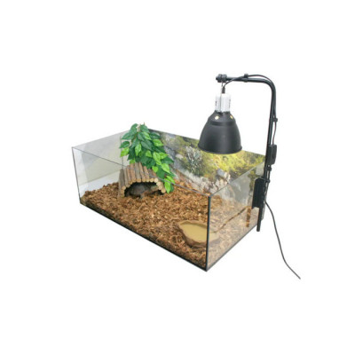 achat terrarium tortue terrestre, lampe chauffante terrarium à vendre, accessoires complet pour tortue terrestre achat terrarium tortue terrestre, lampe chauffante terrarium à vendre, accessoires complet pour tortue terrestre