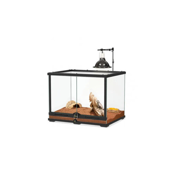 Kit Terrarium en verre 60x45x45cm pour Pogona - Terratlantis