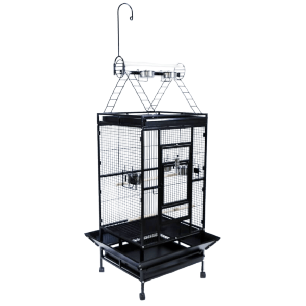Cage pour perroquet moyen ou grande perruche ou youyou 79x74x204 cm - Zolia