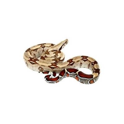achat reptile boa, achat serpent boa constrictor, boa à queue rouge, boa constrictor Surinam à vendre achat reptile boa, achat serpent boa constrictor, boa à queue rouge, boa constrictor Surinam à vendre