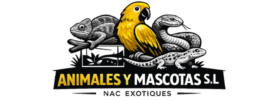 Animales y Mascotas S.L