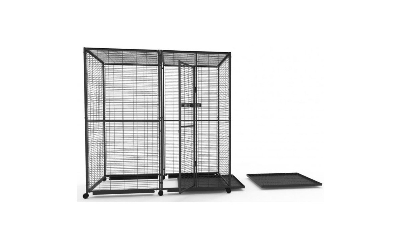 Quelle taille de cage pour un Gris du Gabon ? Le guide complet