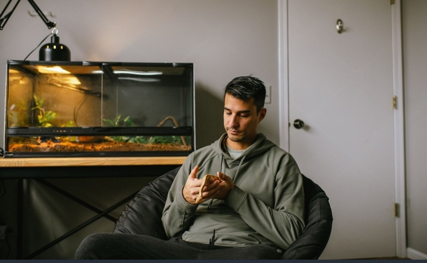 Guide complet : Le terrarium idéal pour votre python royal (Ball python)